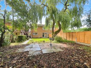Rear Garden- click for photo gallery